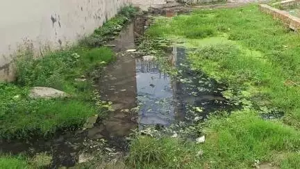 कांति नगर कॉलोनी के स्थानीय लोग जलनिकासी की समस्या से हैं परेशान, बीते 25 वर्षों से नहीं बनी है सड़क #jansamasya