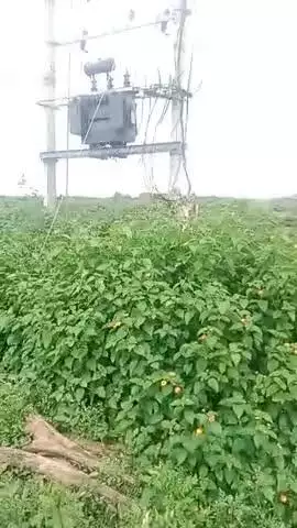Aamtala BHEDWA me transformer hua crash