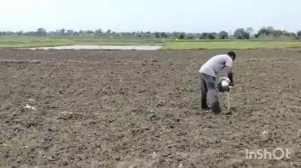 మహదేవ్​పూర్: కుంభంపల్లి గ్రామంలో తమ పంటలను కాపాడుకోవడానికి భగీరథ ప్రయత్నం చేస్తున్న రైతులు