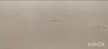 उरई: उरई में राजघाट बांध से छोड़े गए पानी से बेतवा नदी का जलस्तर खतरे के निशान के पास पहुंचा, ग्रामीणों में मचा हड़कंप