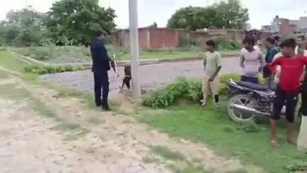 घाटमपुर: घाटूखेड़ा गांव में चारपाई पर मिला युवक का रक्तरंजित शव, पुलिस डॉग स्क्वायड की मदद से जांच में जुटी