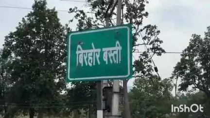 उदयपुर धरमजयगढ़: ग्राम पंचायत सिंवार में भूमि सुधार योजना के नाम पर हितग्राहियों को ठगा रोजगार सचिव ने #jansamasya