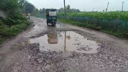 হরিহরপাড়া: কারখানা মোড়-হোসেনপুর পর্যন্ত সড়কের বেহাল দশা, সমস্যায় স্থানীয়রা #jansamasya