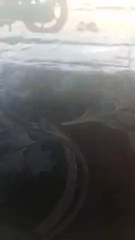 Sabhi doston ko Hardik shubhkamnaen