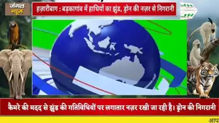 हज़ारीबाग : बड़कागांव में हाथियों का झुंड, ड्रोन की नज़र से निगरानी