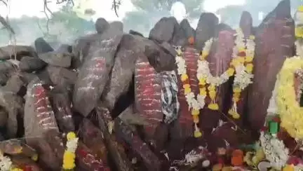 ಚಳ್ಳಕೆರೆ: ತಳಕು ಗುಡ್ಡದಲ್ಲಿ ಬುಡಕಟ್ಟು ಸಂಸ್ಕೃತಿ ಅನಾವರಣ: ಅದ್ದೂರಿಯಾಗಿ ಜರುಗಿದ ಎತ್ತಪ್ಪನ ಜಾತ್ರೆ