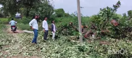 हरदोई: पिहानी क्षेत्र में तेज आंधी के चलते पेड़ गिरने से बिजली के तार टूटे, अहरापुर से पूराबहादुर तक की विद्युत लाइन ठप