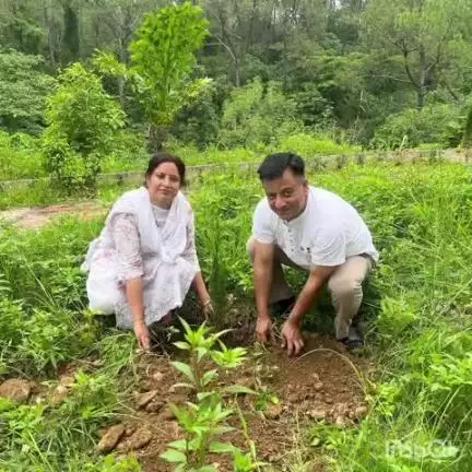 भोटा: बणी पंचायत के तूखानी गांव में पौधरोपण अभियान हुआ, पंचायत प्रतिनिधियों ने किया पौधारोपण