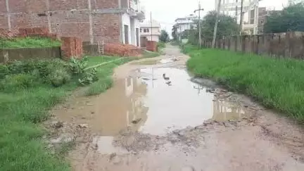 जसवंतनगर: गुलाबबाड़ी में कच्ची गलियां व जलभराव से जलनिकासी का अभाव, नहीं हो रही नियमित सफाई से रहनवासियों को परेशानी #jansamasya