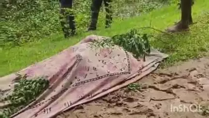 लखनपुर: ग्राम सलका स्थित घुनघुट्टा नहर में मिली युवक की लाश, जांच में जुटी पुलिस