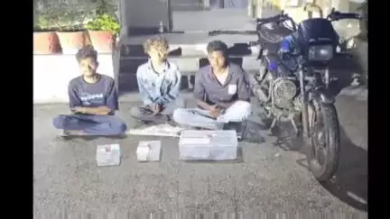 હાલોલ: શહેરમાં જ્યોતિ સર્કલ પાસેથી જિલ્લા LCB પોલીસે ઘરફોડ ચોરીના ત્રણ આરોપીઓને રૂ.2.25 લાખના મુદામાલ સાથે ઝડપી પાડ્યા