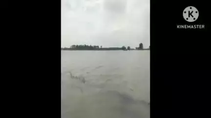 भिवानी: भिवानी में कांग्रेस नेता अशोक ने कहा: खेतों में जलभराव से बाढ़ जैसे हालात, सरकार पूरी तरह विफल