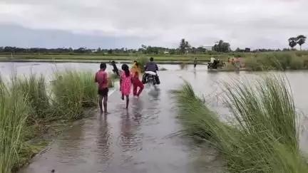 মঙ্গলকোট: তিনদিন ধরে কুনুর নদীর জলে ডুবে রয়েছে মঙ্গলকোটের উজিরপুর গ্রাম যাওয়ার রাস্তা, সমস্যায় সেখানকার বাসিন্দারা