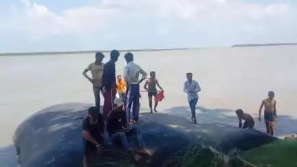 पीलीभीत: धनाराघाट शारदा नदी पर जल लेने पहुंचे कावड़िया, सुरक्षा को लेकर नहीं दिखी व्यवस्था, वीडियो हुआ वायरल