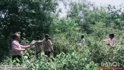 కొత్తగూడెం: అటవీ ప్రాంతంలో విత్తనాలు చల్లిన రామవరం పాఠశాల విద్యార్థులు, జిల్లాలో విస్తృతంగా విత్తనాల సేకరణ కార్యక్రమం