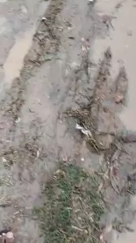 GUDHA katla ke Andala ki dhani ka road ki halat #viral