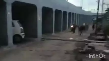 मल्हारगढ़: गौवंश का बाजार में दौड़ लगाते हुए वायरल वीडियो आने के बाद नगर परिषद ने करवाई सार्वजनिक मुनादी