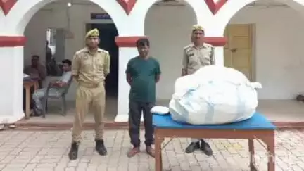 नरैनी: थाना नरैनी पुलिस ने अवैध गांजे की खेती करने वाले अभियुक्त को किया गिरफ्तार, कब्जे से 20 किलो 100 ग्राम अवैध गांजा बरामद