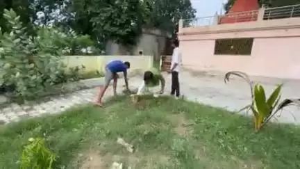ज्ञानपुर: सीखापुर महादेव मंदिर परिसर में 101 पौधों का रोपण, बाबा मिश्रा बोले- पेड़ हैं जीवन का आधार