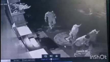 धार: धार के बंदी छोड़ मोहल्ले में बड़ी चोरी, सीसीटीवी में कैद हुई वारदात