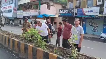 मंडला: चिलमन चौक से बस स्टैंड तक डिवाइडर दो साल से कचरा फेंकने के काम आ रहा था, समाजसेवियों ने किया पौधरोपण