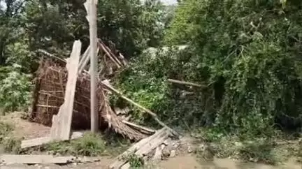 इकौना: रघुवीर पुरवा में फूंस और सीमेंट के टिन शेड पर आम का पेड़ गिरने से बुजुर्ग की मौत, परिवार में मचा कोहराम
