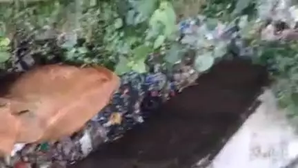 इगलास: इगलास कस्बे के गोंडा रोड स्थित नाले में आवारा गोवंश गिरने से मची अफरा-तफरी, स्थानीय लोगों ने घंटे की मशक्कत से निकाला