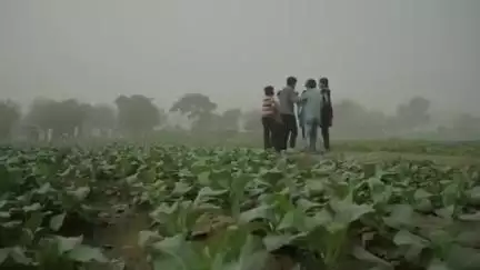 बरसात के मौसम के दौरान बिजली से बचने के उपाय।