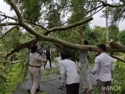 बल्देवगढ़: देवरदा के पास टीकमगढ़-छतरपुर मार्ग पर बारिश में पेड़ गिरा, आवागमन अवरुद्ध; मौके पर पहुंची पुलिस