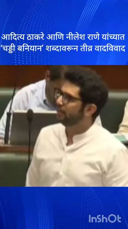 मुंबई: विधानसभेत ठाकरे गटाचे आमदार आदित्य ठाकरे आणि शिंदे गटाचे आमदार निलेश राणेंमध्ये 'चड्डी बनियान गँगवरून' जुंपली