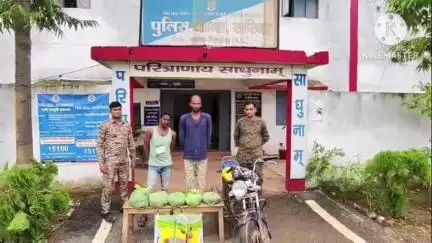 थाना सरिया पुलिस की कार्रवाई, 5 किलो 280 ग्राम अवैध गांजा के साथ दो आरोपियों को किया गया गिरफ्तार