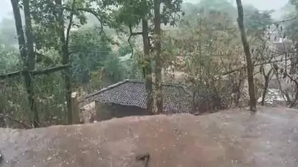 कांसाबेल: जशपुर जिले में 01 जून से अब तक 4866.4 मिमी वर्षा, भू अभिलेख शाखा ने दी जानकारी
