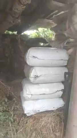 आज मेरे द्वारा गाय के लिए कुछ इस प्रकार दाना बनाया गया कुछ गेहूं का भूसा संभल के रखा था वह भी इसमें मिलाया गया है जो मैंने खरीदा है