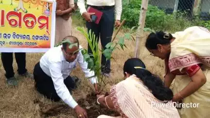 ବାଙ୍ଗିରିପୋଷି: ରଙ୍ଗାମାଟିଆ ସରକାରୀ ଉଚ୍ଚ ବିଦ୍ୟାଳୟ ରେ ବୃକ୍ଷ ରୋପଣ ,ଯୋଗ ଦେଲେ ଜିଲ୍ଲା ଶିକ୍ଷା ଅଧିକାରୀ