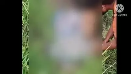 थावे: रामनगर में सर्पदंश से एक व्यक्ति की मौत