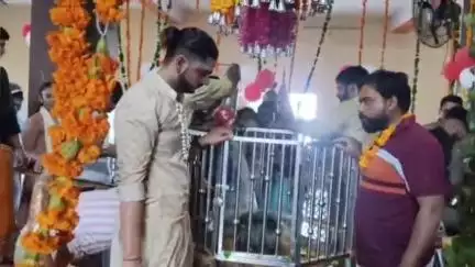 महावन: चिंताहरन महादेव मंदिर में श्रद्धालुओं का उमड़ा सैलाब, किया जलाभिषेक