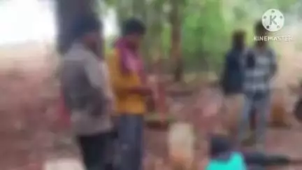 साल्हेवारा की घाटी में बड़ा सड़क हादसा, बाइक अनियंत्रित होकर गिरी, तीन युवक घायल, दो की हालत गंभीर