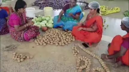 సోమవారం ఉదయం నుండి పెద్దాపురం మరిడమ్మ అమ్మవారిని, కూరగాయలతో శాకంబరీగా అలంకరించిన మహిళలు.