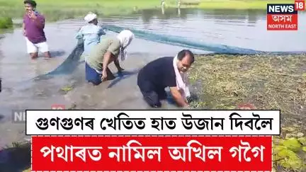 Akhil Gogoi : গুণগুণৰ খেতিত হাত উজান দিবলৈ পথাৰত নামিল একালৰ কৃষক নেতা বিধায়ক অখিল গগৈ | N18V