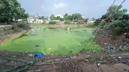 छतरपुर नगर: महोबा रोड की विंध्यवासिनी तलैया का दायरा घटाकर खाली कर रही नगरपालिका, ₹40 लाख के सौंदर्यीकरण पर सवाल! #jansamasya