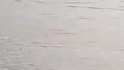 इंदरगढ़: इंदरगढ़ तहसील के पाली सुनारी खेरोना घाट के पास पहुंचा सिंध नदी का पानी, प्रशासन ने कराई मुनादी