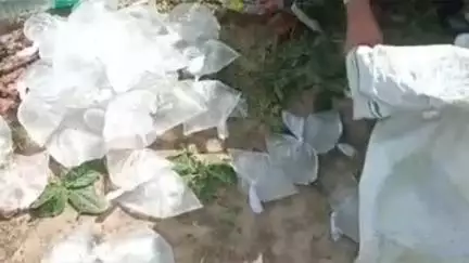 पूर्णागिरि: आबकारी विभाग की सख्त कार्रवाई, 21.02 बल्क लीटर अवैध शराब पकड़ी गई