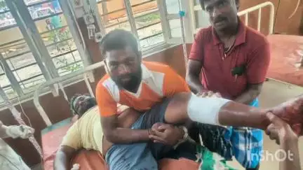 పూతలపట్టు: తుమ్మకుప్పం హరిజనవాడలో వరి నారు మేకలు మేశాయని యువకుడిపై కత్తులతో దాడి చేసిన వ్యక్తి, కేసు నమోదు చేసిన పోలీసులు