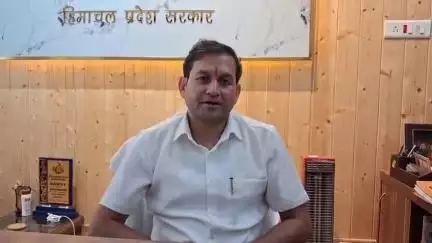 नूरपुर: वन मण्डल नूरपुर में 246 हैक्टेयर भूमि में होगा पौधारोपण, 4 लाख पौधे रोपे जाएंगे: डीएफओ नूरपुर