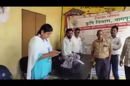 रामटेक: ग्रामपंचायत बोरडा येथे धरती आबा जनजागृती ग्राम उत्कर्ष शिबिराचे आयोजन