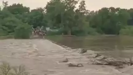 जवा: जवा जनपद पंचायत के बरहटा गांव में उफनती नदी में डूबने से गर्भवती महिला की मौत
