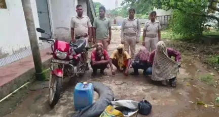 ଢେଙ୍କାନାଳ ସଦର: ଜିଲ୍ଲାର ବିଭିନ୍ନ ସ୍ଥାନରେ ଅବକାରୀ ବିଭାଗର ଚଢ଼ାଉ, ୪ ଗିରଫ