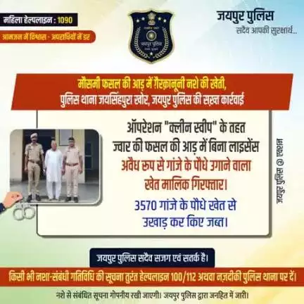मौसमी फसल की आड़ में ग़ैरक़ानूनी नशे की खेती,
पुलिस थाना जयसिंहपुरा खोर, जयपुर पुलिस की सख़्त कार्रवाई।
ऑपरेशन "क्लीन स्वीप" के तहत ज्वार की फसल की आड़ में अवैध रूप से गांजे के पौधे उगाने वाला खेत मालिक गिरफ्तार।