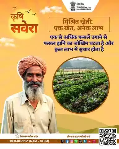हर सुबह खेती की सही बात! 
जुड़े रहिए #KrishiSavera के साथ और शेयर करें अपनी टिप्स। 

#Agrigoi #Farmingtips