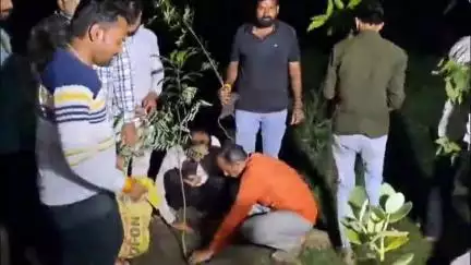 मोहन बड़ोदिया: विहिप द्वारा सेवा सप्ताह में ग्राम मंड़ोदा के श्री काल भैरव मंदिर परिसर में पौधारोपण